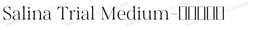 Salina Trial Medium字体转换